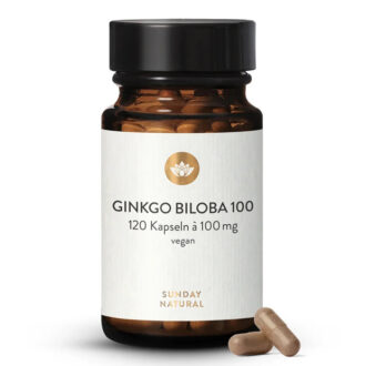 Ginkgo Biloba (hõlmikpuu) ekstrakt 120 kapslit
